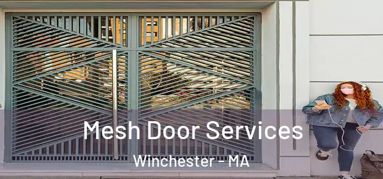  Mesh Door Services Winchester - MA